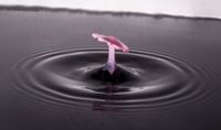 Mushroom shaped water drop